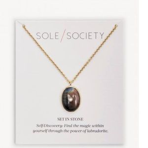 Sole Society Jewelry - NWT Sole Society set in stone labradorite necklace Sole Society Jewelry - NWT Sole Society set in stone labradorite necklace